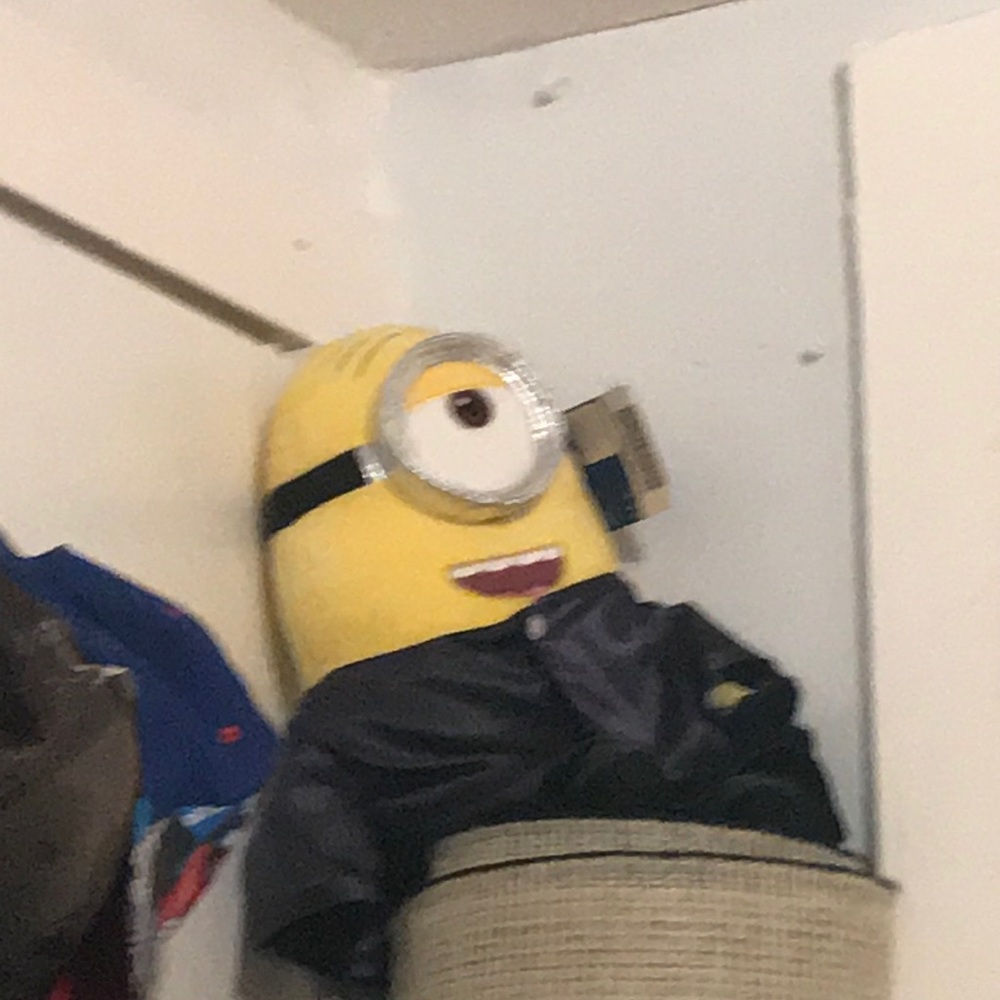 Minion Drip😳🦾